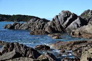 MT-MAUNGANUI(015)